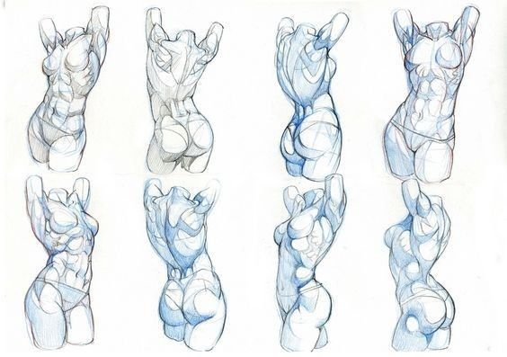 Анатомия тела для рисования