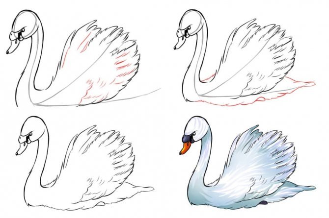 Лебедь рисунок