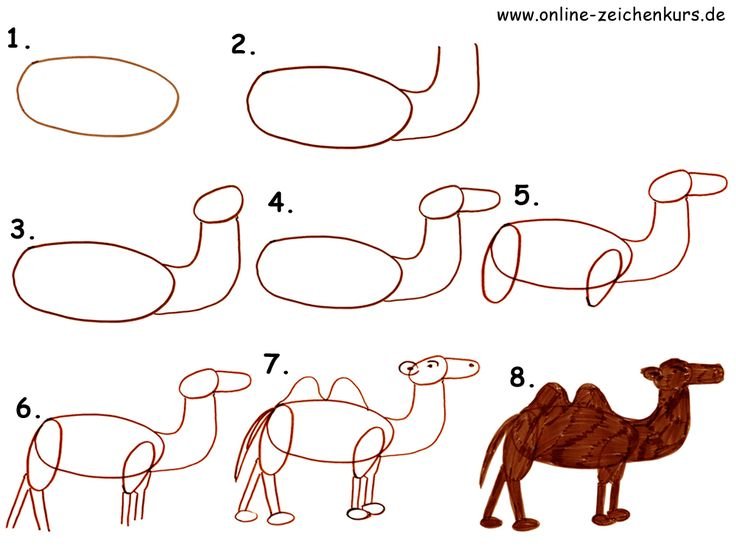 Рисование животных для детей