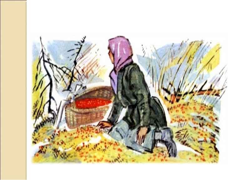 Иллюстрация к рассказу Пришвина кладовая солнца