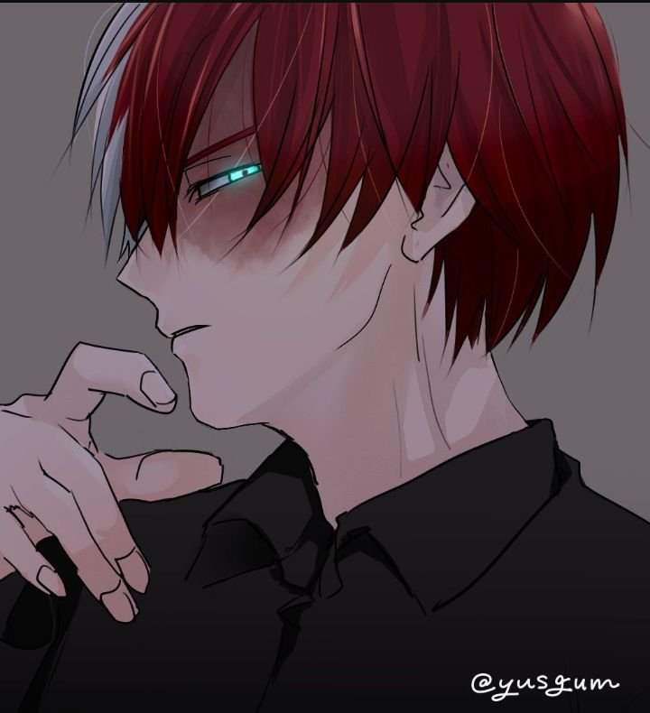 Тодороки шото Villain