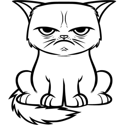 Злой милый котик