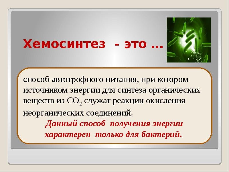 Хемосинтез