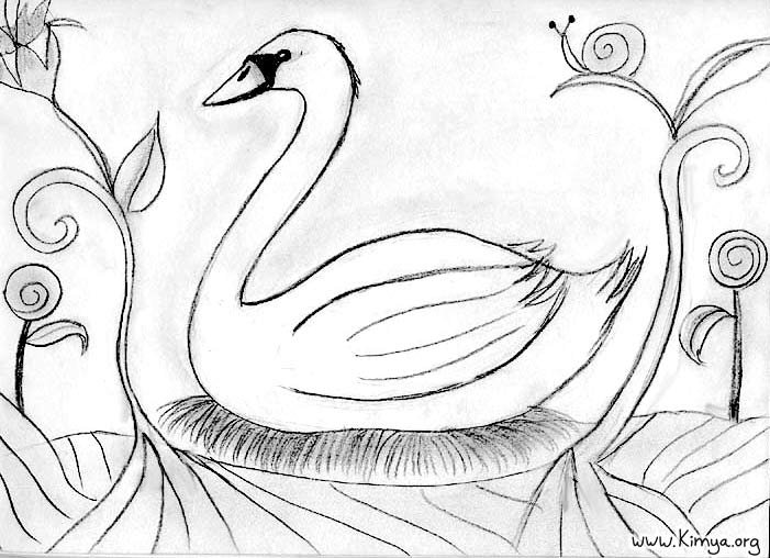 Лебедь рисунок карандашом