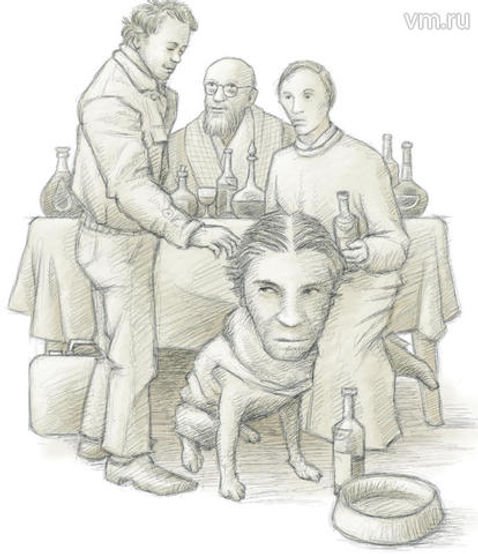 Собачье сердце рисунок