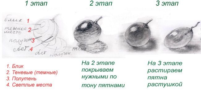 Светотень в рисунке