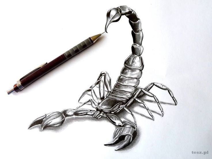 SCARPION ISKEZ