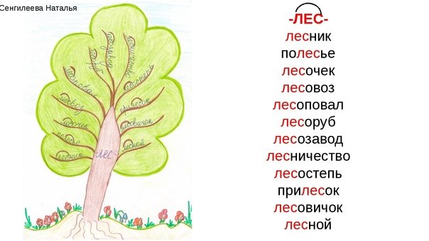 Дерево родственных слов