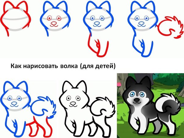 Как нарисовать волка