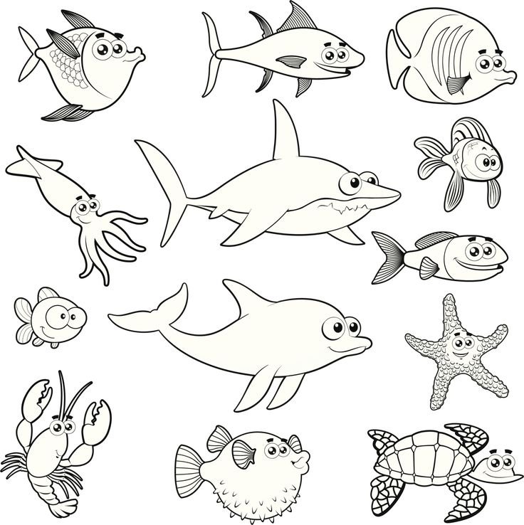 Раскраска "морские жители"