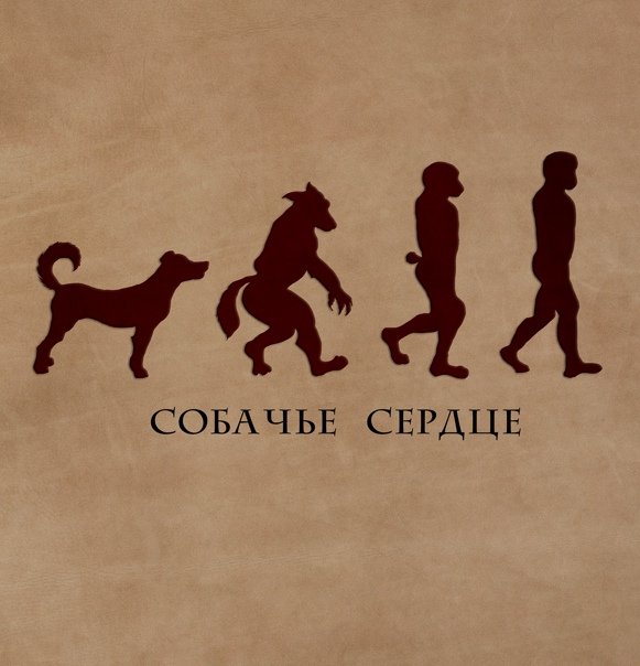 Собачье сердце легкие