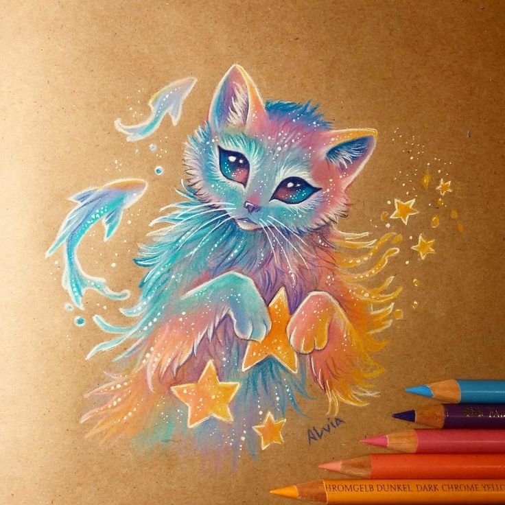Alvia Alcedo кошки