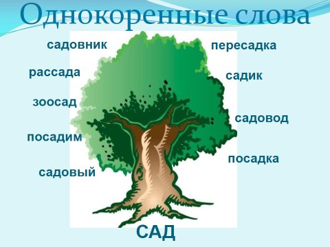 Однокоренные слова картинки
