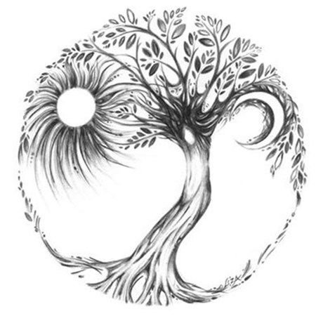 "Tree of Life" ("дерево жизни") by degree