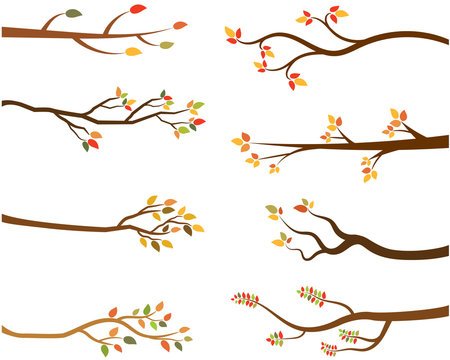 Stylized Branch