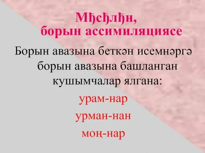Ирен АССИМИЛЯЦИЯСЕ