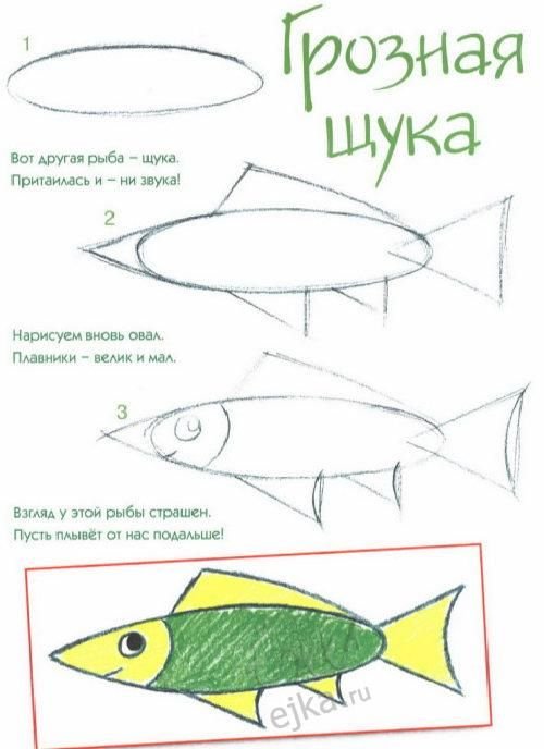 Поэтапное рисование щуки для детей