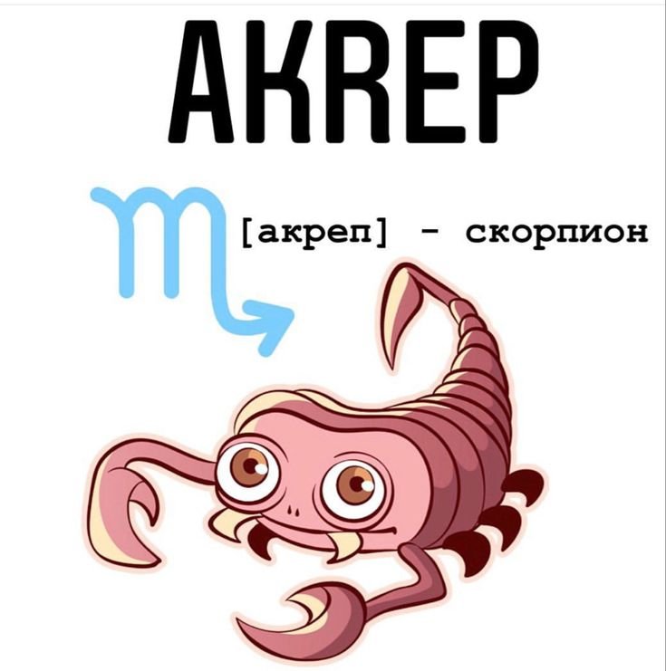 Скорпион знак зодиака знаки зодиака