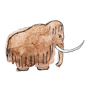 Woolly Mammoth Fuzz