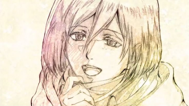 Легкие микаса