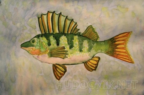 Окунь арт