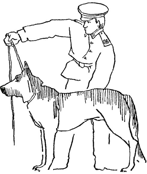 Военная собака раскраска