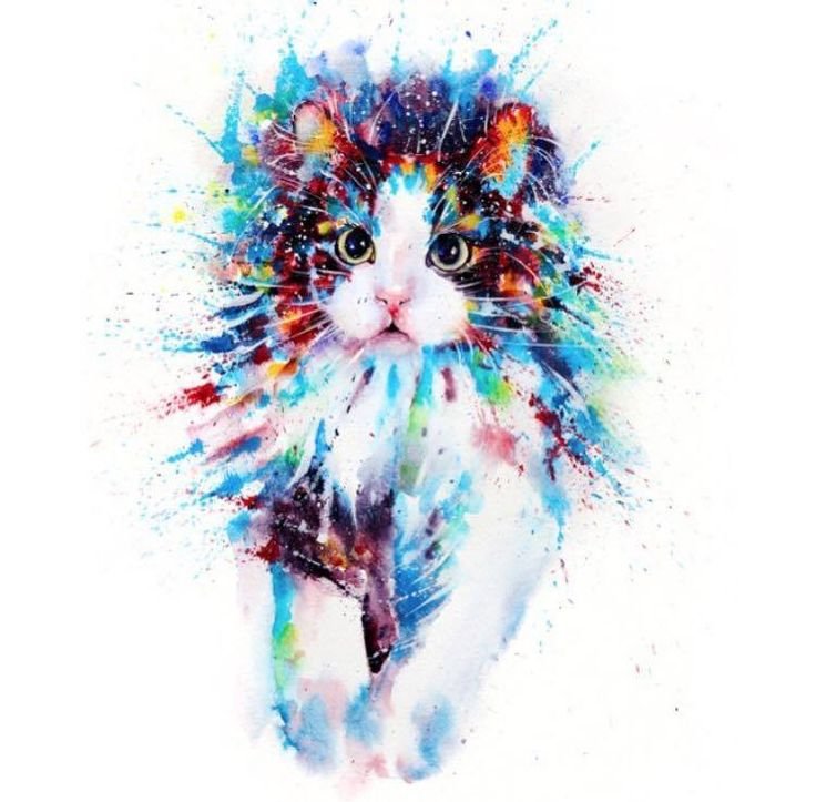 Кошка акварелью