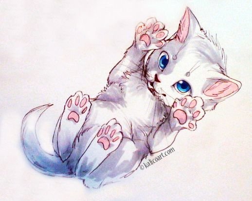 Рисунки котиков