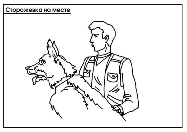 Раскраски служебные собаки