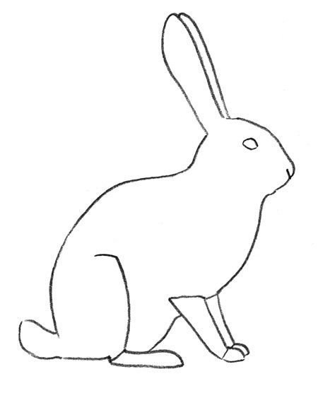 Заяц рисунок