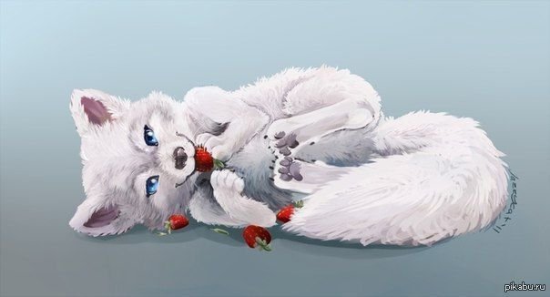Песец арты