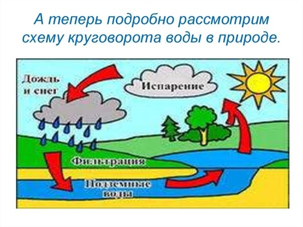 Схема мирового круговорота воды