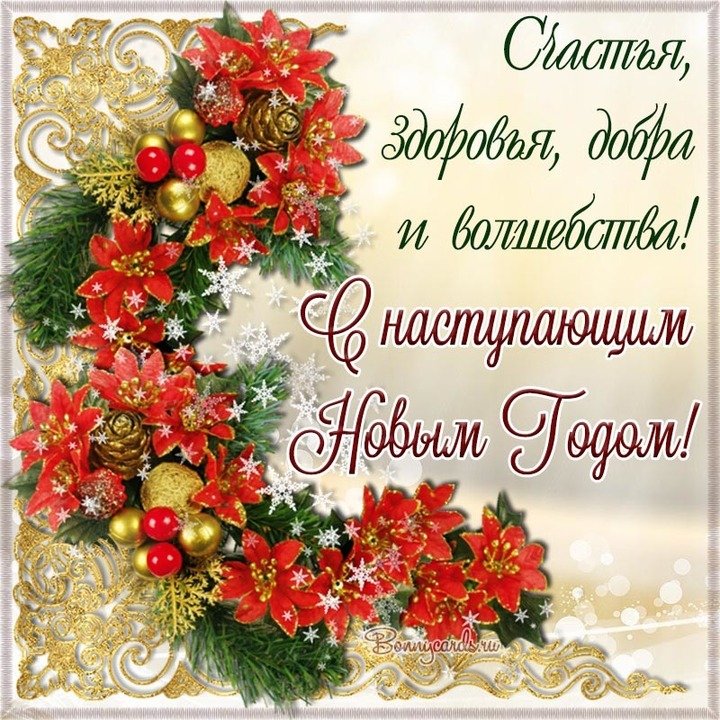 Красивые обнаженных девушек