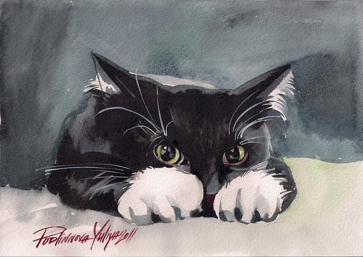 Рисунки котов