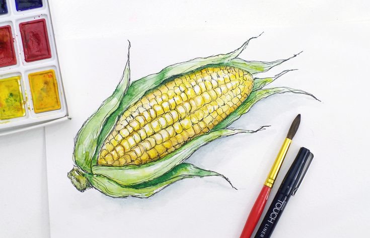 Овощи цветными карандашами