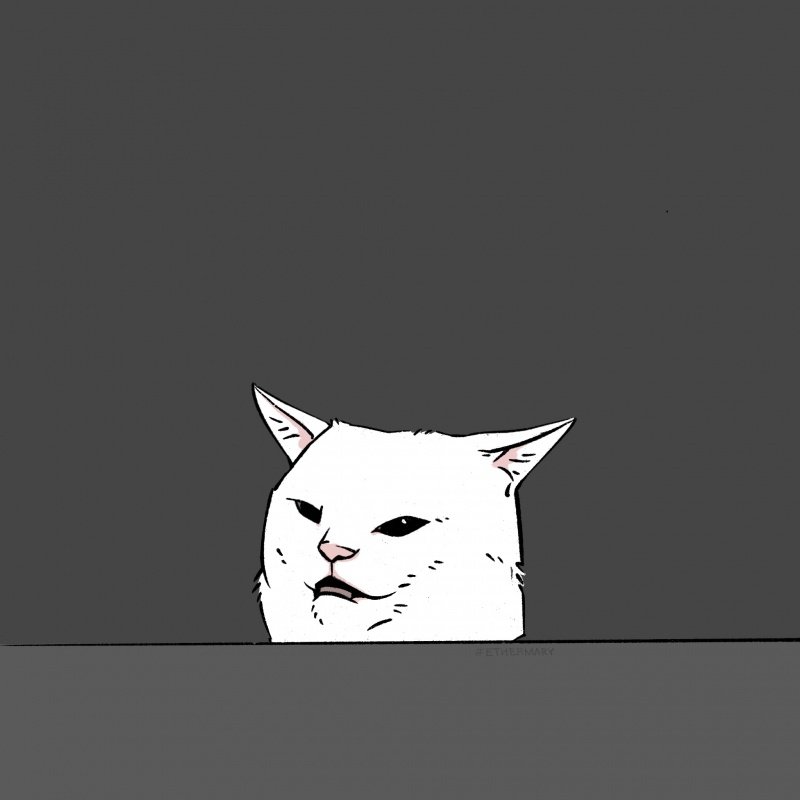 Кот из мема арт