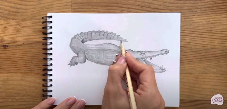 Крокодильчик