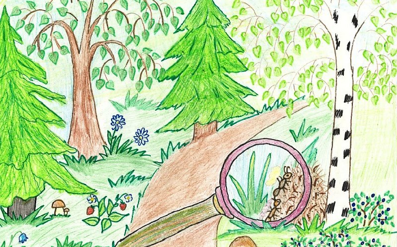 Рисунок леса для детей