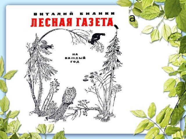 Лесная газета иллюстрации