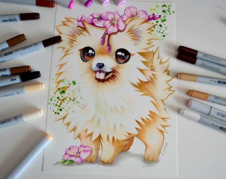 Рисунки животных фломастерами