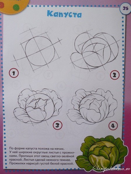 Овощи рисование поэтапно