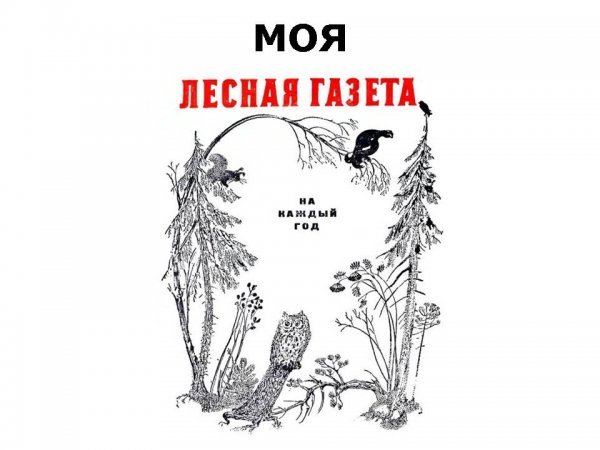 Виталий Бианки "Лесная газета"