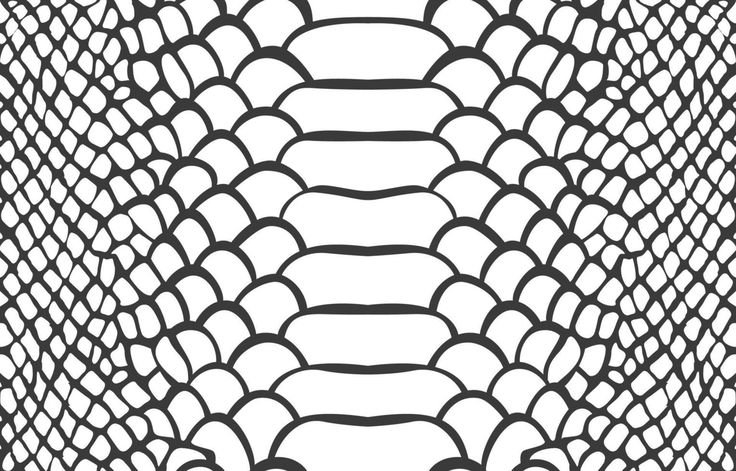 Snake Scales