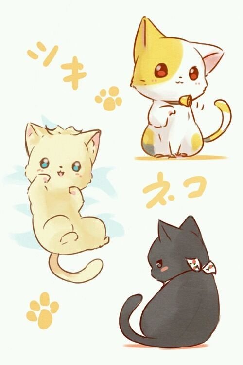 Кавай котики