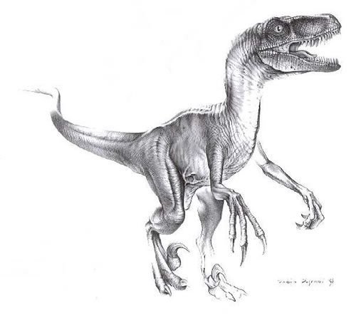 Velociraptor mongoliensis