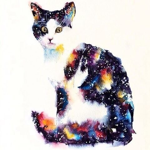 Кот в космосе