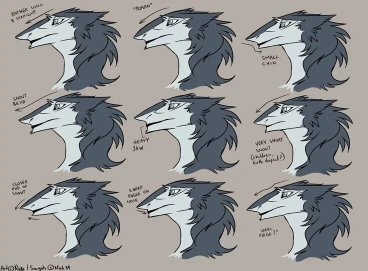 Сергал референс