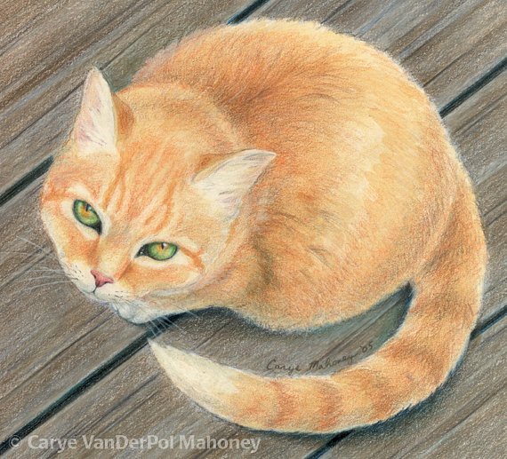 Нарисовать рыжего кота