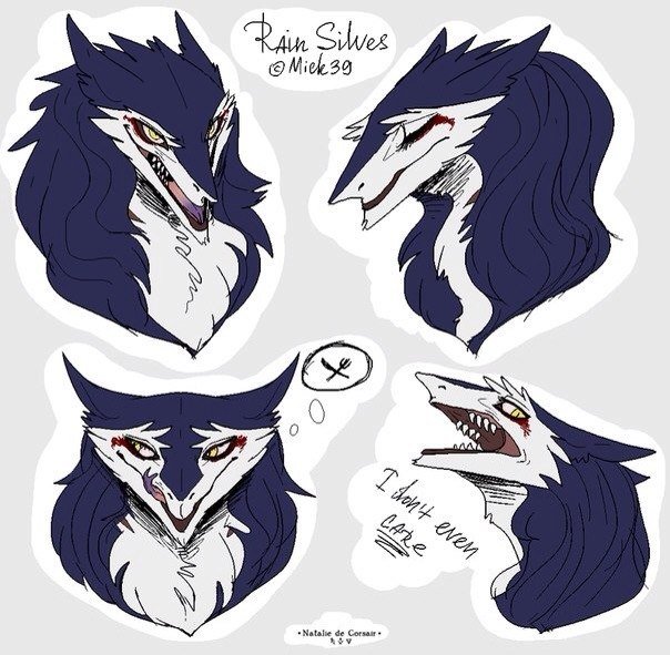 Фурри сергал Рейн Сильвес