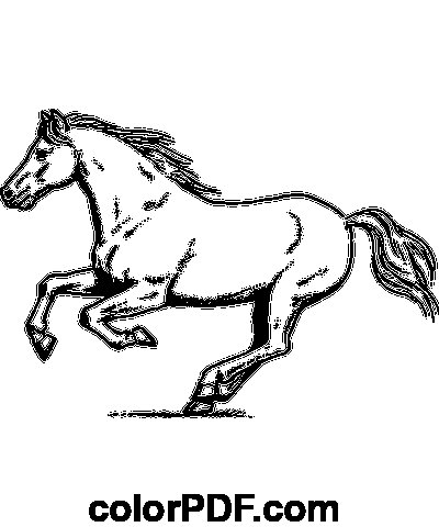 Лошадь рисунок раскраска